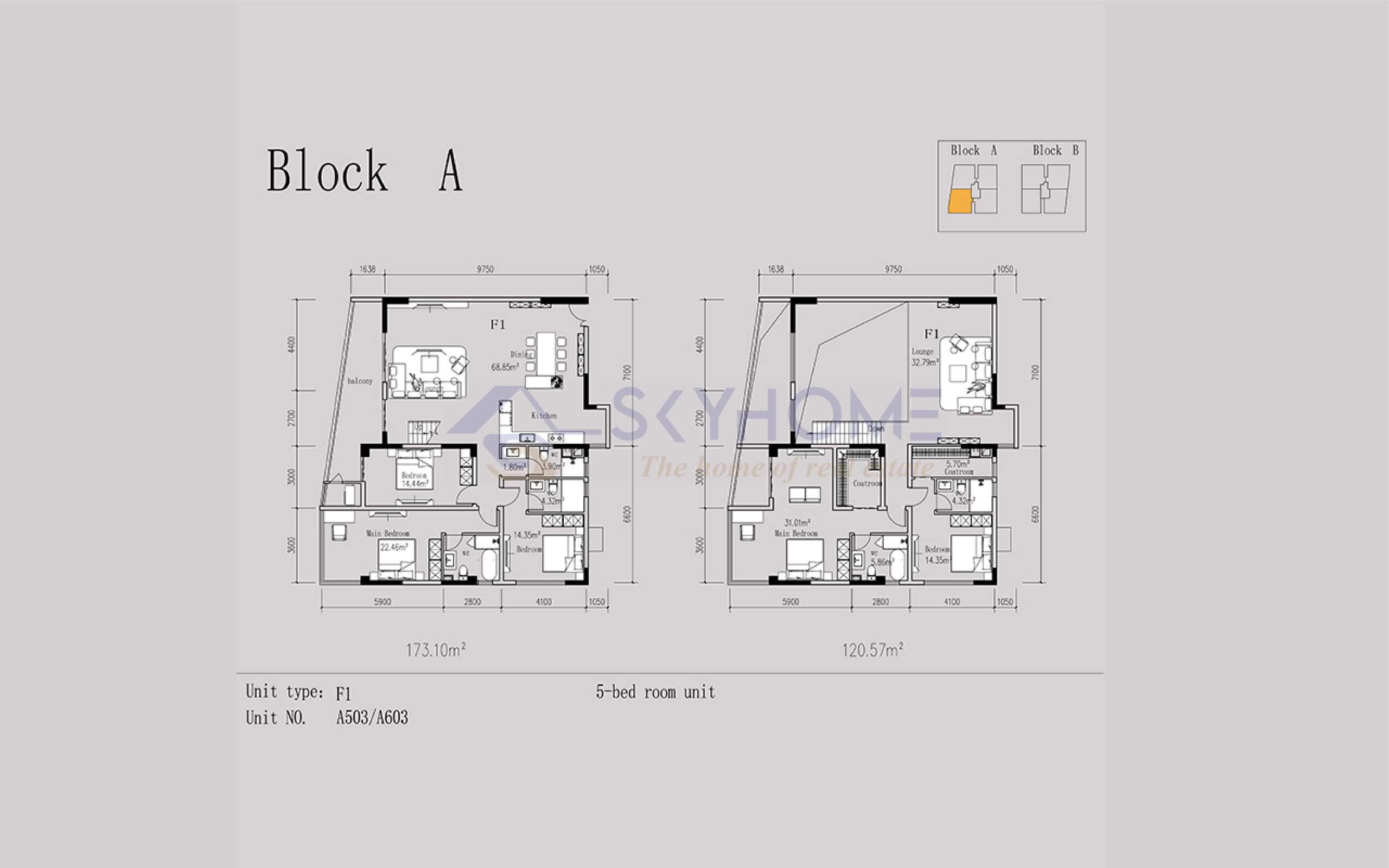 5 Bedroom Floor Plan